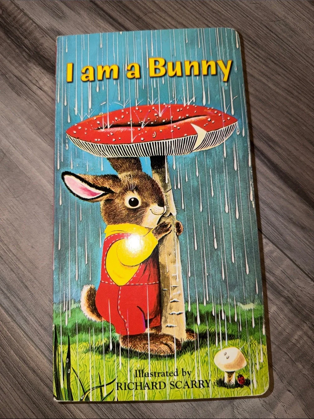 Set of 3 Kids Board Books - Llama Llama, I Am a Bunny, Corduroy Takes a Bow